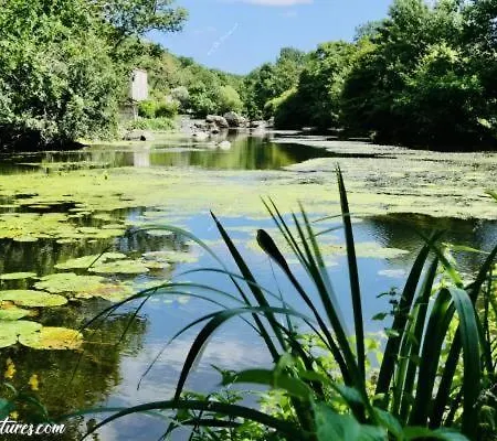 Le Hameau 2 Pour 15 Personnes Nature Et Riviere Proche Du Puy Dufou 펜션 La Foret-sur-Sevre